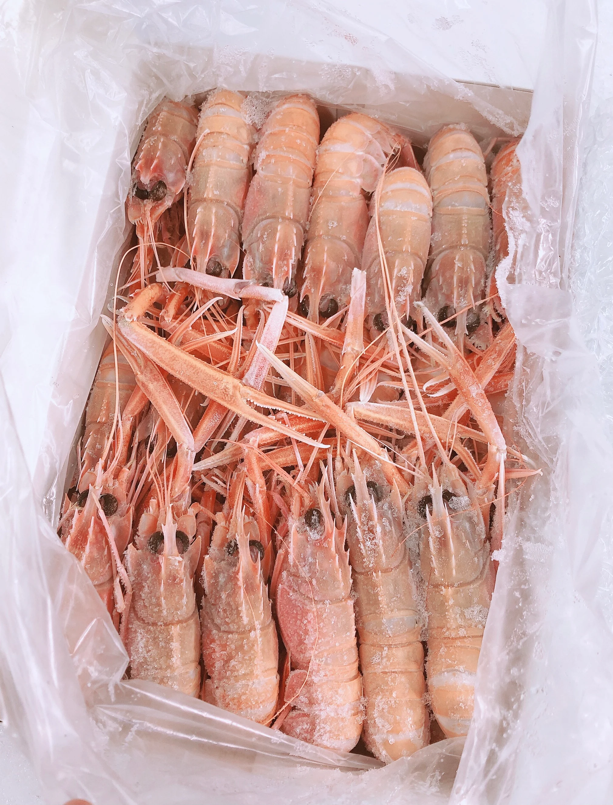 W.A. SCAMPI NO 3 (SMALL) 1KG